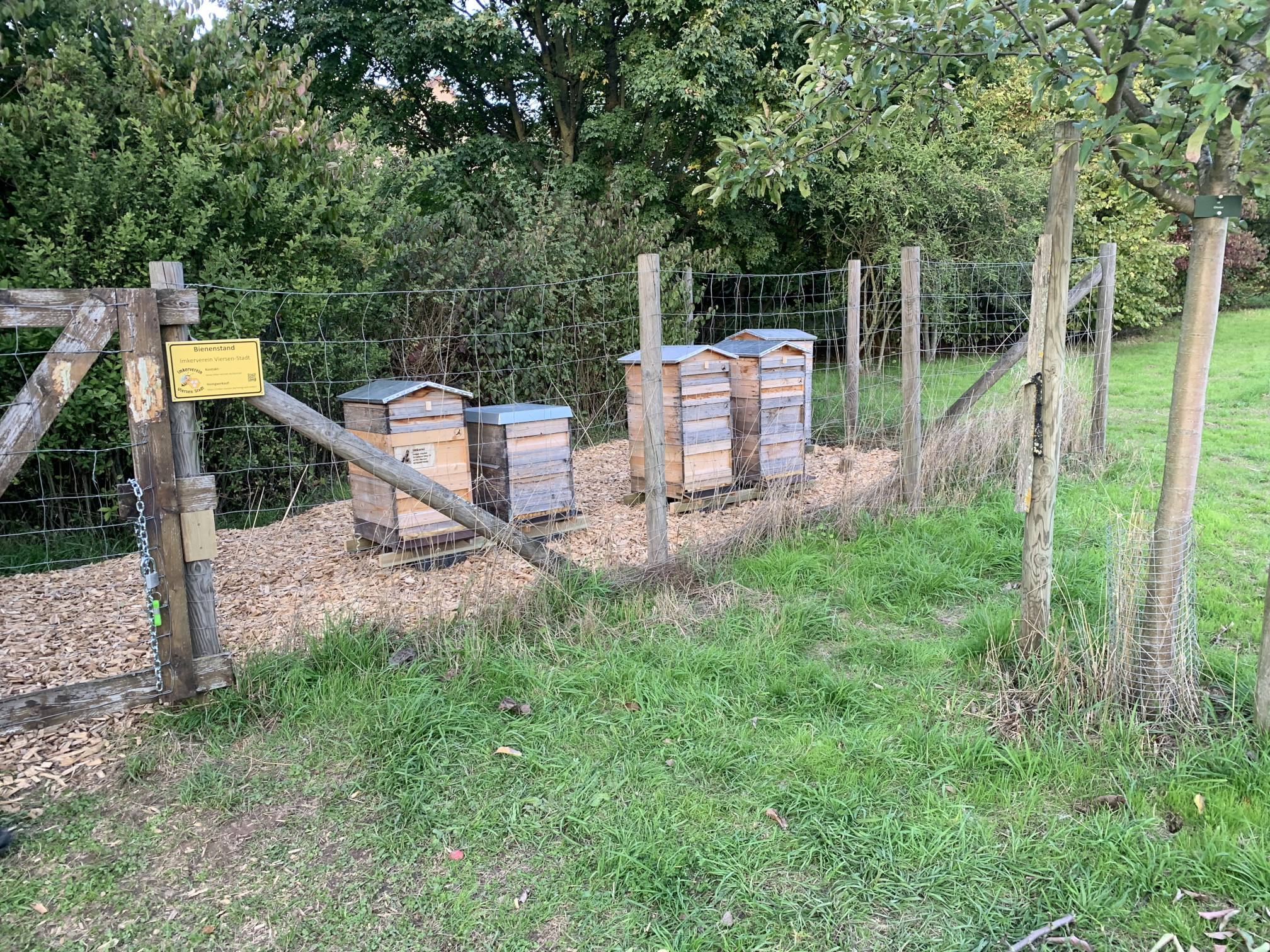 Jubiläumsgarten in Dülken 