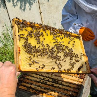 2022 07 12 At 09.12.432