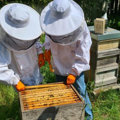 2022 07 12 At 09.12.442